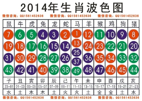 2024十二生肖49码表,实地数据验证策略_D版63.877