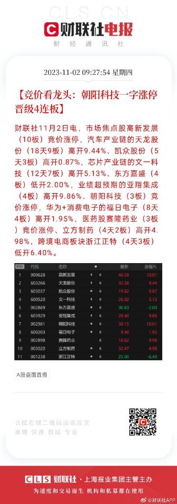 2025年1月7日 第113页