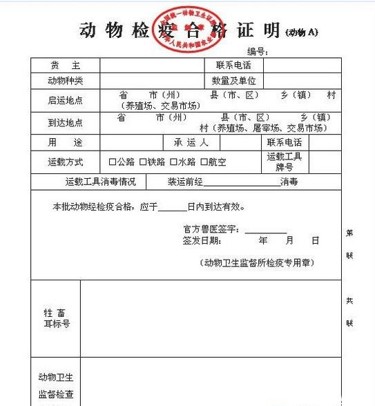 库尔勒市防疫检疫站人事任命最新动态