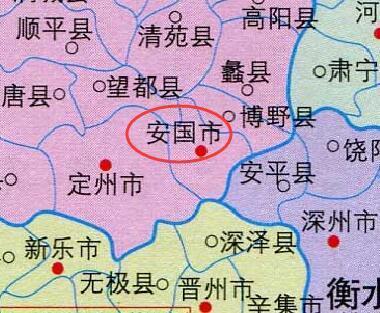 河北省安国市最新消息全面解读与分析