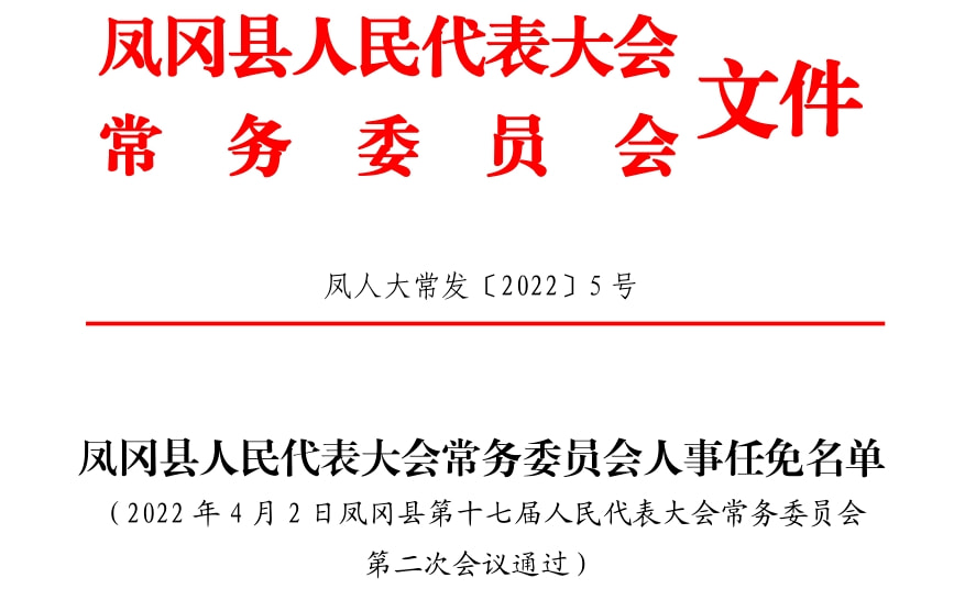 凤泉区数据和政务服务局人事大调整，推动政务服务持续优化新篇章